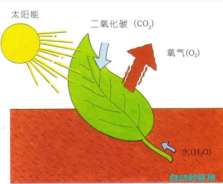 功能特点与使用指南 (功能特点与使命的关系)